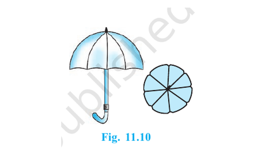 Umbrella and its top view showing eight equally spaced ribs.
