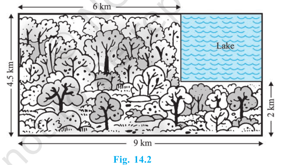 Rectangular 9 kilometre by 4.5 kilometre search region containing a rectangular lake; the forest extends 6 kilometres along the top and 2 kilometres up the right side.