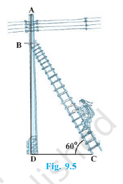 A ladder BC leaning against pole AD to reach point B, making a 60 degree angle with the ground.